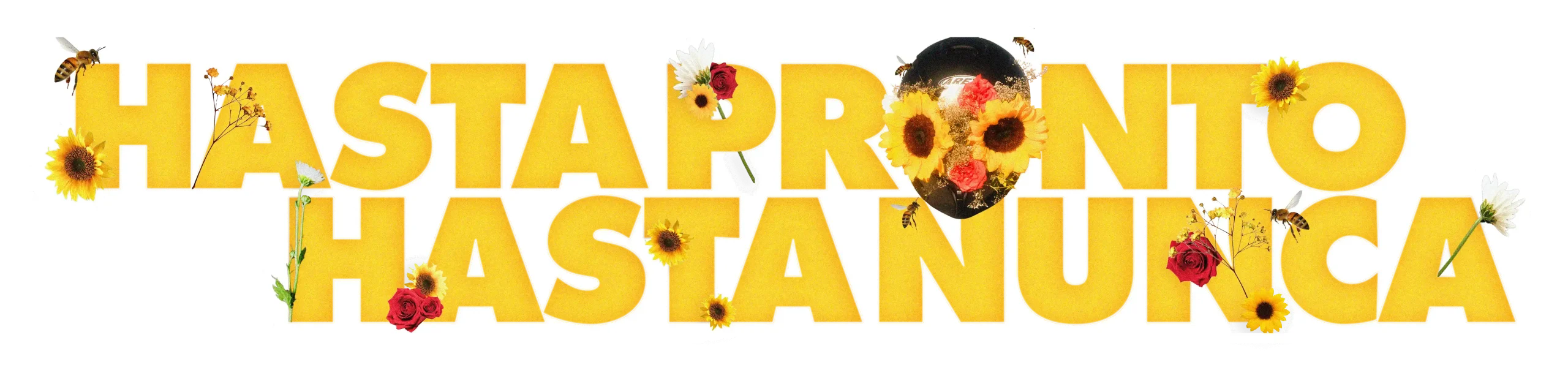 HASTA PRONTO, HASTA NUNCA